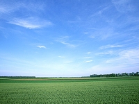 pic03.jpg