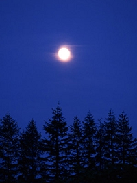 pic04.jpg