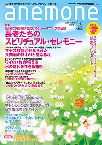anemone201102.jpg